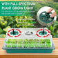 !🎉Seed starter trays with grow light