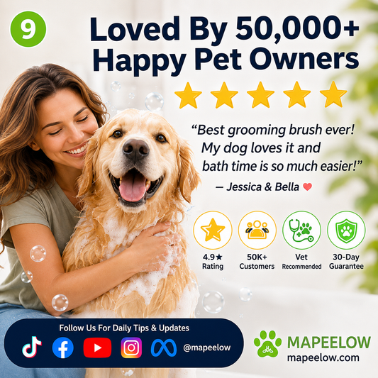 🌟🌟Pet Bath Brush with Built-In Shampoo Dispenser 🐾  Gentle Massage Grooming Tool for Dogs & Cats – Ergonomic, Easy-to-Use & Vet-Approved Care 🇬🇧💧