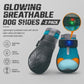 ⏳ Limited-Time 50% OFF 🐶 Breathable Mesh Dog Shoes with Luminous Design – Lightweight & Comfortable Paw Protection ✨