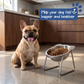 ⏳Time-Limited Special⏰Halloween 🥣15° Tilted Orthopaedic Feeding Bowl