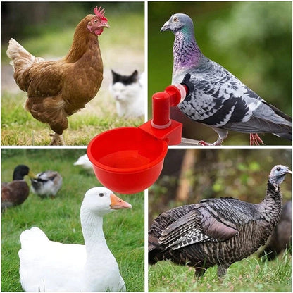 🔥🔥Gift For Chicken Lovers 50% OFF--🔥Automatic Chicken Water Cup Bird Coop