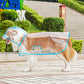Transparent Raincoat For Dog