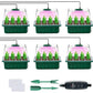 !🎉Seed starter trays with grow light