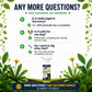 ⚡ [Easy and stress-free weeding in the garden] Herbicide for domestic use