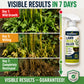 ⚡ [Easy and stress-free weeding in the garden] Herbicide for domestic use