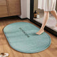 Braided Absorbent and Non-Slip Carpet