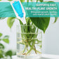 Hydroponic Nutrient Solution For Plant Growth