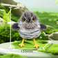 🎁🐱Interactive cat toy shaped like a realistic bird