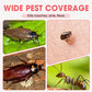 🔥2025 Hot Sale |Indoor Fipronil Pest Control Spray