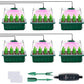 🔥Seed Starter Trays with Grow Light