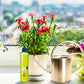 🥳2026 HOT SALE🥳💞50K+ SOLD!🌿【All-Purpose Indoor & Outdoor Plant Nutrient】—One bottle in hand, the world is yours!🌱🏡✨