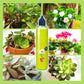 🥳2026 HOT SALE🥳💞50K+ SOLD!🌿【All-Purpose Indoor & Outdoor Plant Nutrient】—One bottle in hand, the world is yours!🌱🏡✨