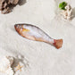 Realistic Hopping Fish Toy for Cat⏰