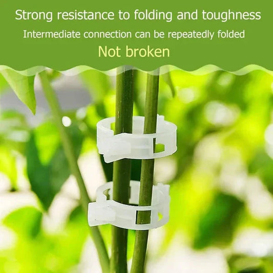 💥2026 Hot Sale💥 Secured Plastic Plant Clip