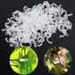 💥2026 Hot Sale💥 Secured Plastic Plant Clip