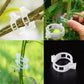 💥2026 Hot Sale💥 Secured Plastic Plant Clip