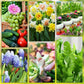 Slow-Release Plant Fertilizer Sticks