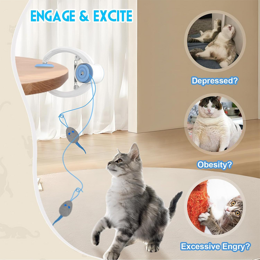 🔥🔥Indoor Hanging Automatic Interactive Cat Toys