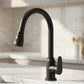 Modern Pull-Down Kitchen Faucet
