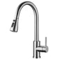 Modern Pull-Down Kitchen Faucet