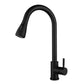 Modern Pull-Down Kitchen Faucet