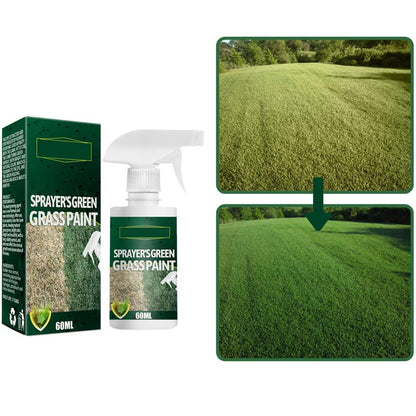 🔥Green Grass Paint Spray🌿✅