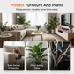 Pet Restrict Area Spray - Natural Cat & Dog Repellent
