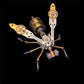 🥳2026 HOT SALE🥳💞50K+ SOLD! 🐝⚙️ 50% OFF! 3D Metal Bee Puzzle Assembly Model Kit – Premium metal alloy, intricate gears & mechanical details. DIY assembly – a rewarding challenge for hobbyists & puzzle lovers! 🔧✨