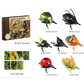 Wind-Up Winged Insect Simulation Toy Set with Educational Cards