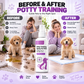 🥳HOT SALE🥳💞10K+ SOLD! Potty Training Spray ! Guides pets, safe & easy spray. Cleaner home – grab yours! ✅