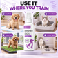 🥳HOT SALE🥳💞10K+ SOLD! Potty Training Spray ! Guides pets, safe & easy spray. Cleaner home – grab yours! ✅