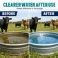 Fast-Dissolving Livestock Water Tank Cleaning Tablets