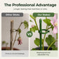 Green Plastic Plant Support Stakes with Adjustable Clasps for Garden Flowers