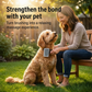 Professional Pet Slicker Brush for Dog and Cat Grooming
