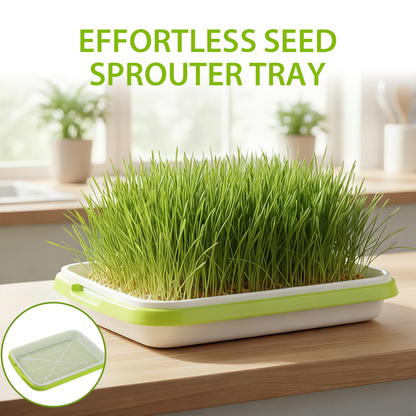 Durable Seed Sprouter Tray