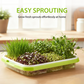 Durable Seed Sprouter Tray