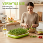 Durable Seed Sprouter Tray