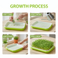Durable Seed Sprouter Tray