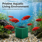 Activated Carbon Filter Cube for Aquarium Water Purification