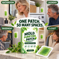 Leaf Collector – Portable Pop-Up Leaf Collection Bag | Reusable for Yard & Garden