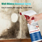 2024 nouveau spray d'élimination de la moisissure domestique